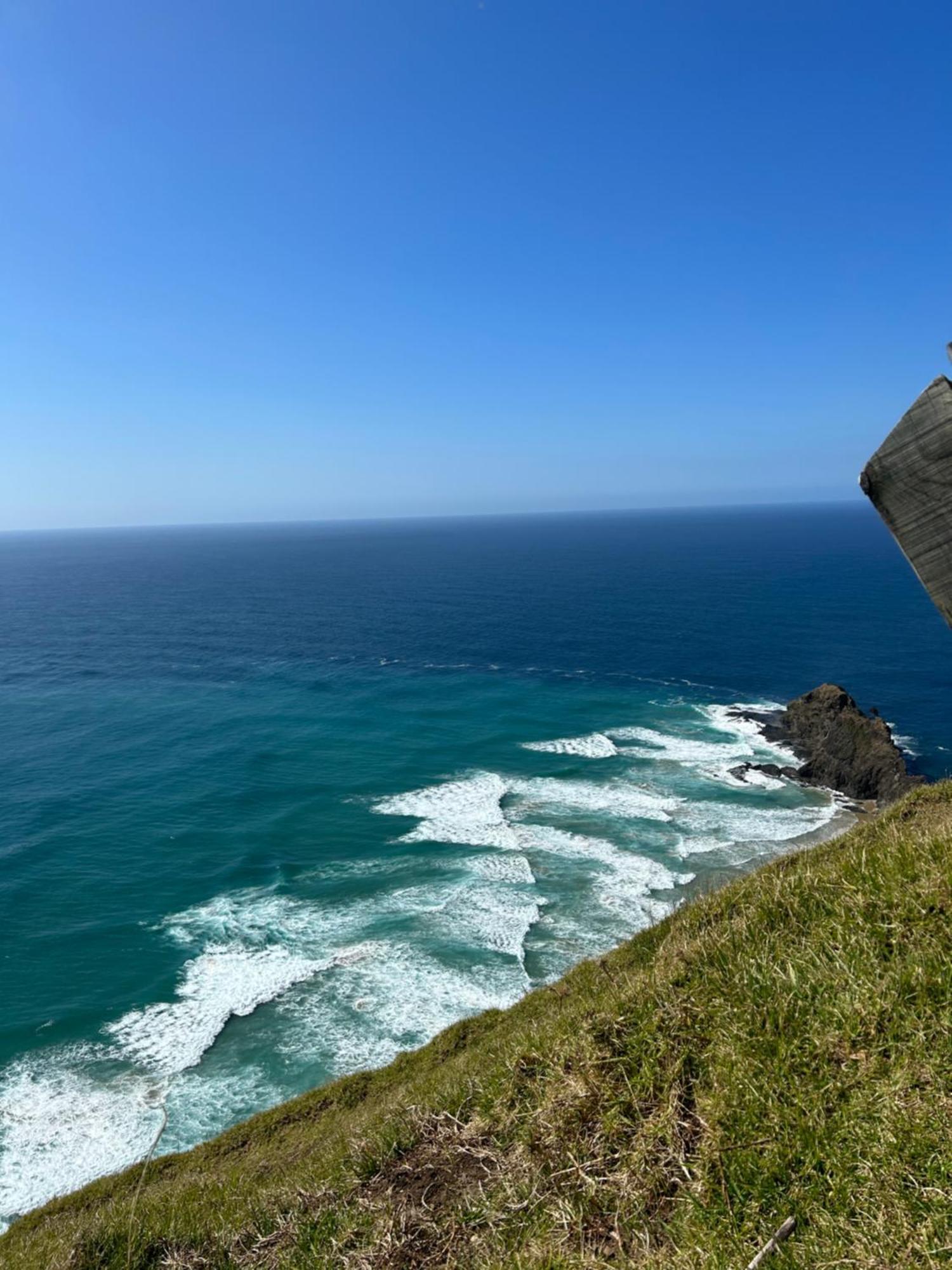 Green Turtle Cottage Pukenui Bagian luar foto