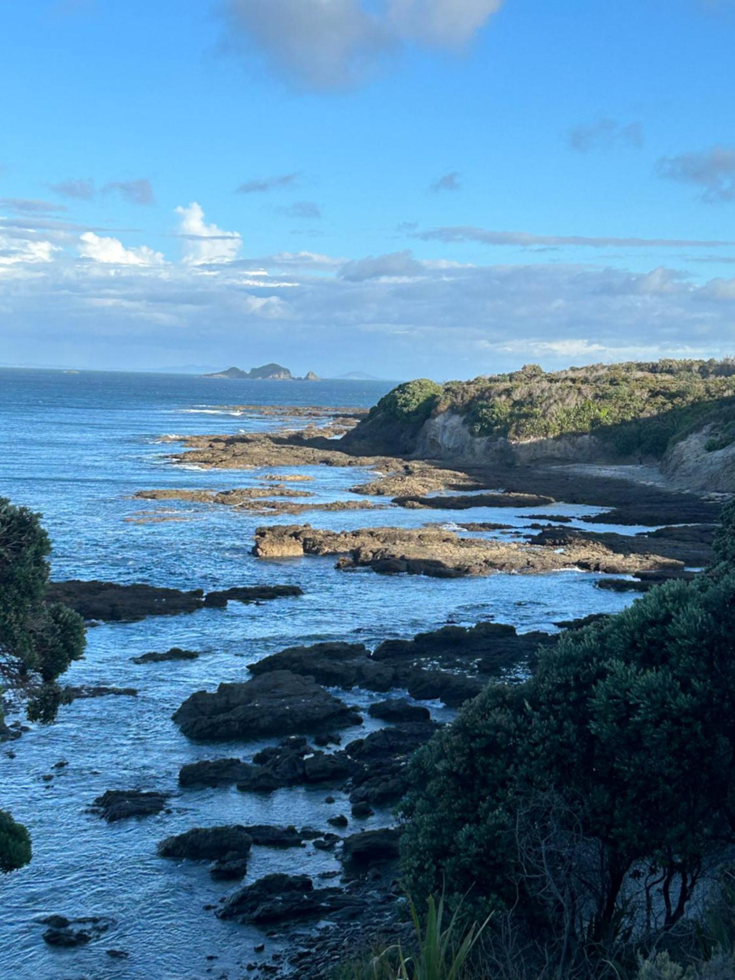 Green Turtle Cottage Pukenui Bagian luar foto
